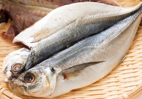 炭火で魚を上手に焼くには…身から焼く？それとも皮から焼く？